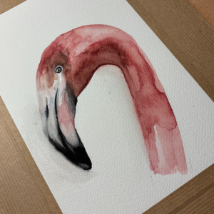 Retrato de Flamenco en acuarela