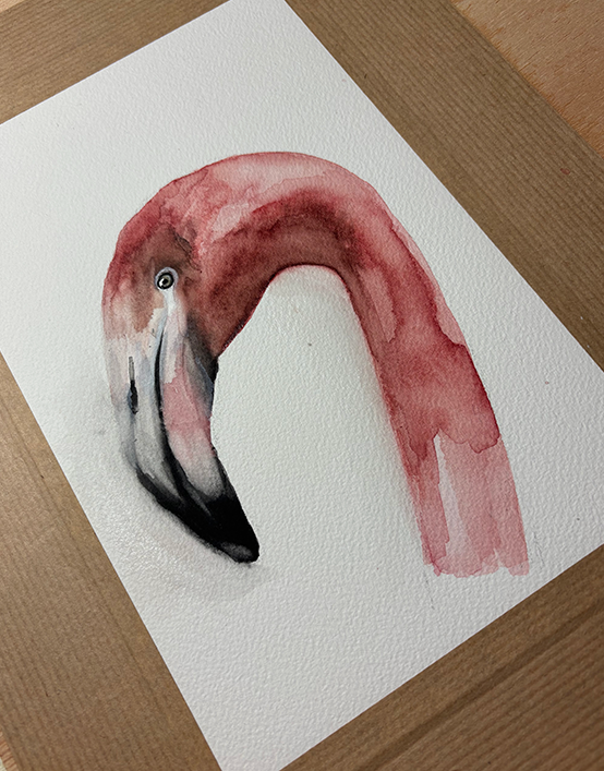 Retrato de Flamenco en acuarela