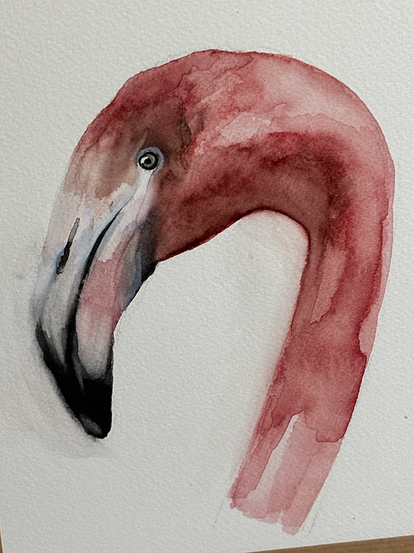 Retrato de Flamenco en acuarela