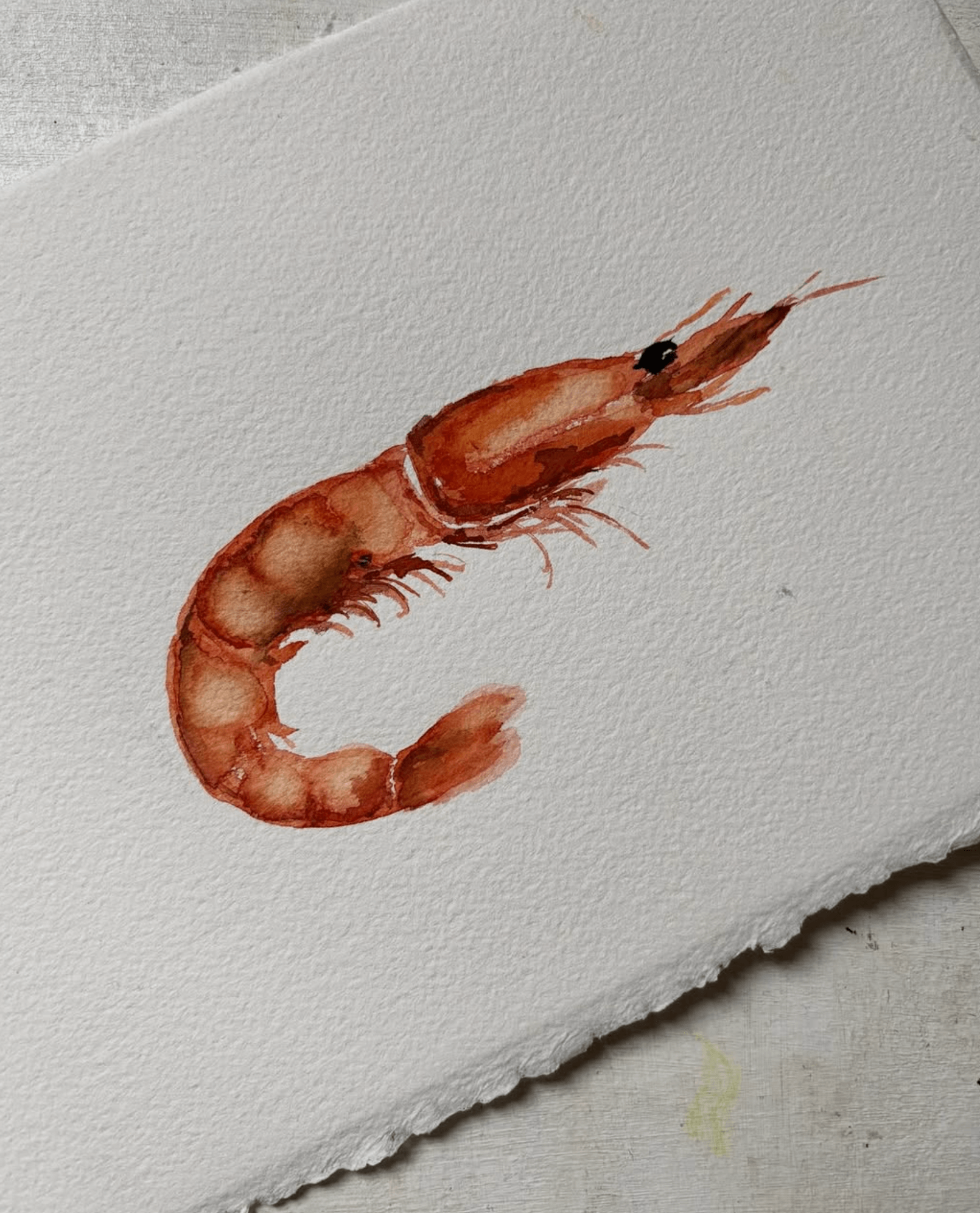Gamba – Acuarela original