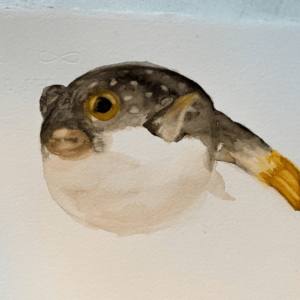 PEZ GLOBO ACUARELA ORIGINAL