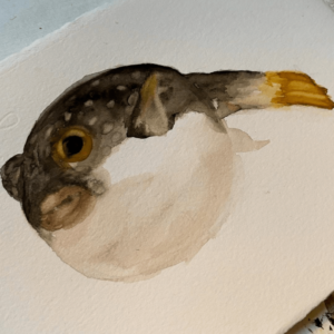 PEZ GLOBO ACUARELA ORIGINAL 1