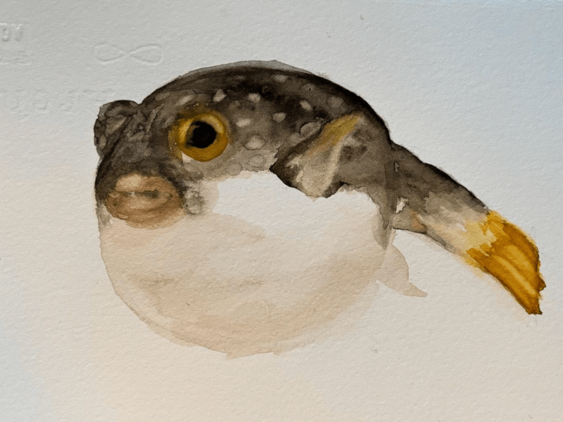 PEZ GLOBO ACUARELA ORIGINAL